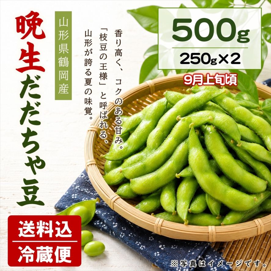 晩生だだちゃ豆 500g（250g×2袋）【E-07】送料込 | 果物・野菜,だだ