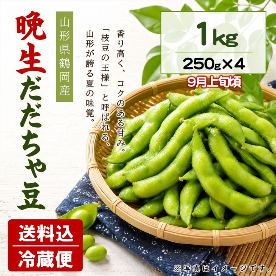 晩生だだちゃ豆 1kｇ（250g×4袋）【E-08】送料込
