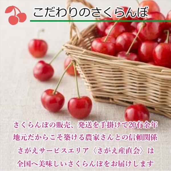 佐藤錦 1Kgバラ詰箱 秀Lサイズ【S-02】 | 果物・野菜,露地さくらんぼ