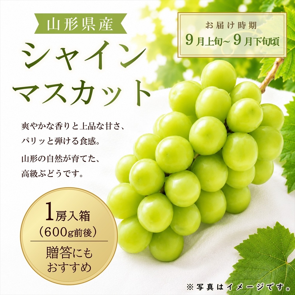 〈9月お届け〉シャインマスカット（1房600g前後）箱【KB-02】