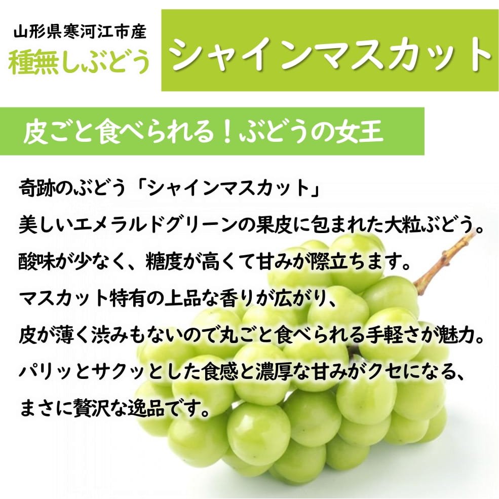 〈9月お届け〉シャインマスカット（2房1kg以上）箱【KB-03】