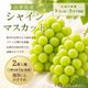 〈9月お届け〉シャインマスカット（2房1kg以上）箱【KB-03】