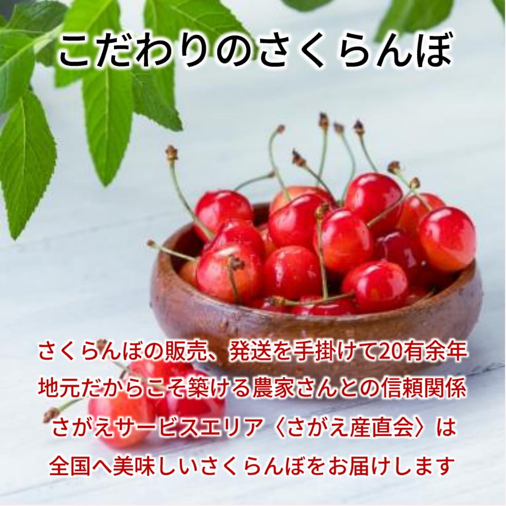 温室さくらんぼ 紅秀峰 チョコ箱（24粒） 2Lサイズ〈送料込み〉【OV