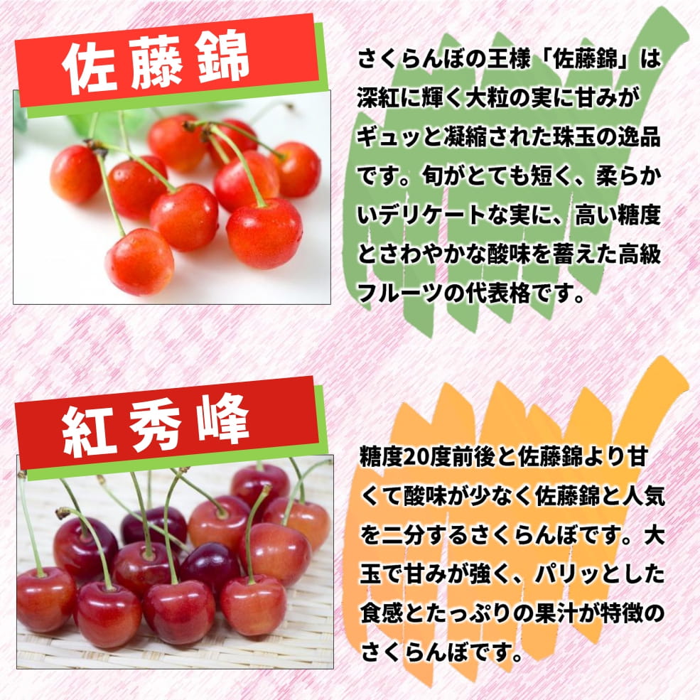 温室さくらんぼ 紅秀峰 300g 手詰化粧箱 2Lサイズ 〈送料込み〉【OV