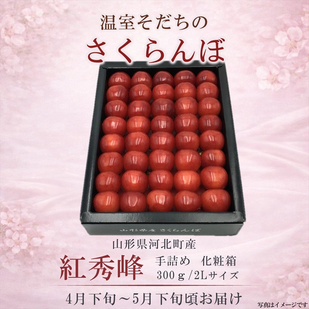 温室さくらんぼ 紅秀峰 300g 手詰化粧箱 2Lサイズ 〈送料込み〉【OV