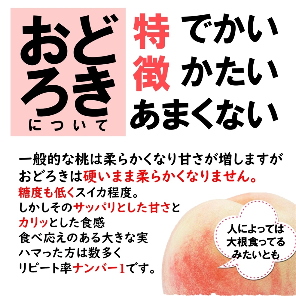 桃（おどろき） 約5kg箱（13～15玉入）【M-04】