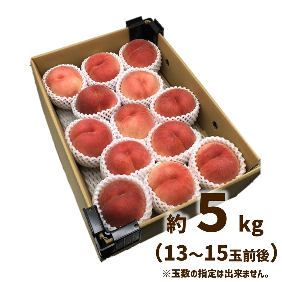 桃（おどろき） 約5kg箱（13～15玉入）【M-04】