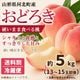 桃（おどろき） 約5kg箱（13～15玉入）【M-04】
