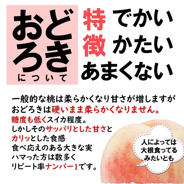 ��M-03�����ʤ��ɤ����� 3kgȢ��7��9������