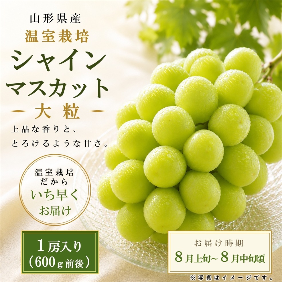 温室そだち「大粒シャインマスカット 1房（600g前後）入箱」【HS-01