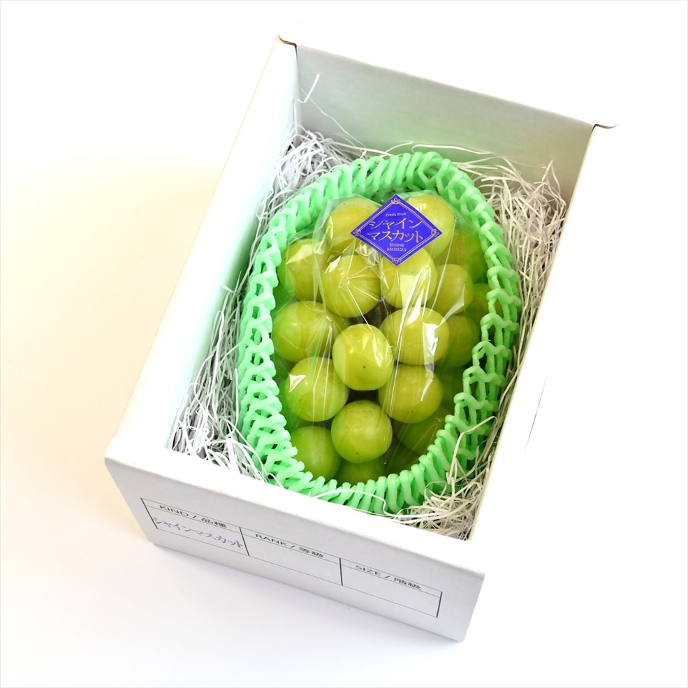 温室そだち「大粒シャインマスカット 1房（600g前後）入箱」【HS-01