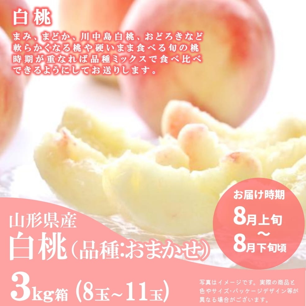 FT-01】やまがた旬のフルーツ定期便（全5回）（数量限定） | 果物