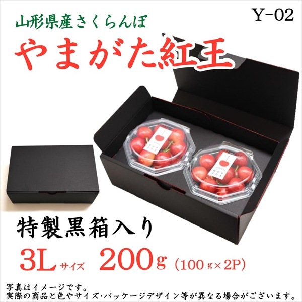 ��Y-02�ۤ�ޤ����Ȳ� 200��ʥ�����ѥå�100���2�С˲���Ȣ�� ��3L������