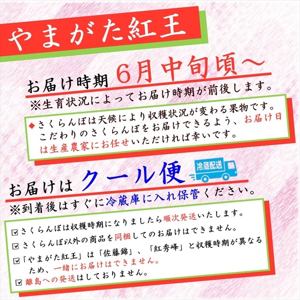 ��Y-02�ۤ�ޤ����Ȳ� 200��ʥ�����ѥå�100���2�С˲���Ȣ�� ��3L������