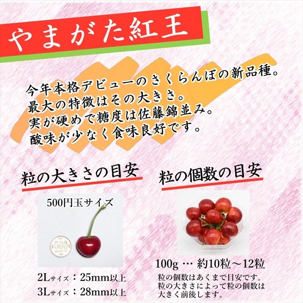 ��Y-02�ۤ�ޤ����Ȳ� 200��ʥ�����ѥå�100���2�С˲���Ȣ�� ��3L������