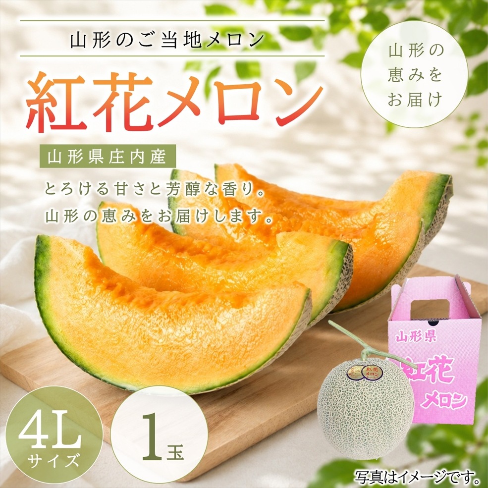 山形のご当地メロン「紅花メロン」　4Lサイズ　1玉入箱（赤肉・つる付）【V-01】