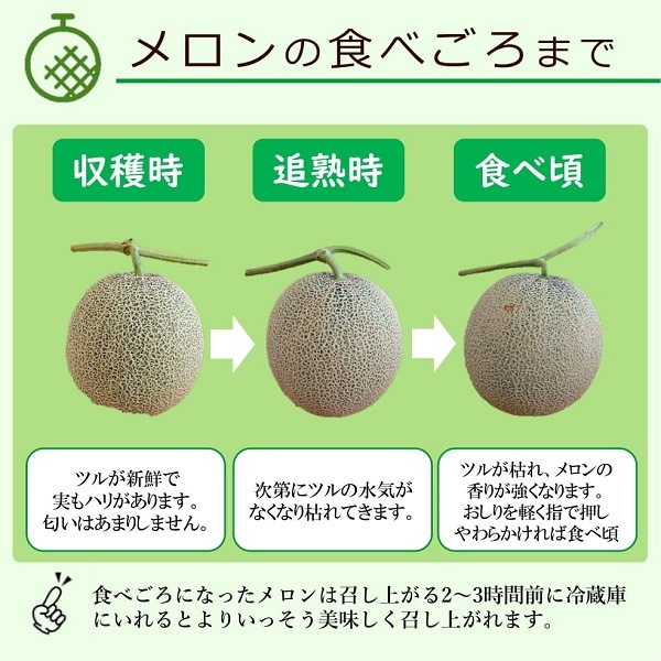 ��V-01�� �Ȳ֥����4L��������1������Ȣ