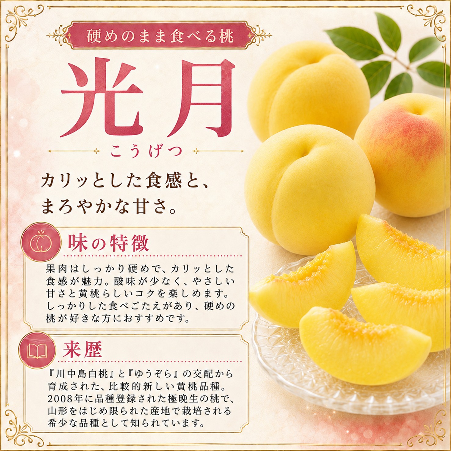 【送料込】光月 約1.7㎏ （5～6玉前後）箱【MK-01】