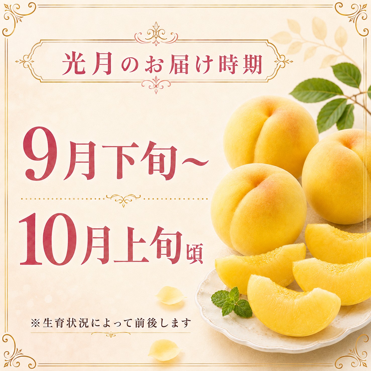 【送料込】光月 約1.7㎏ （5～6玉前後）箱【MK-01】