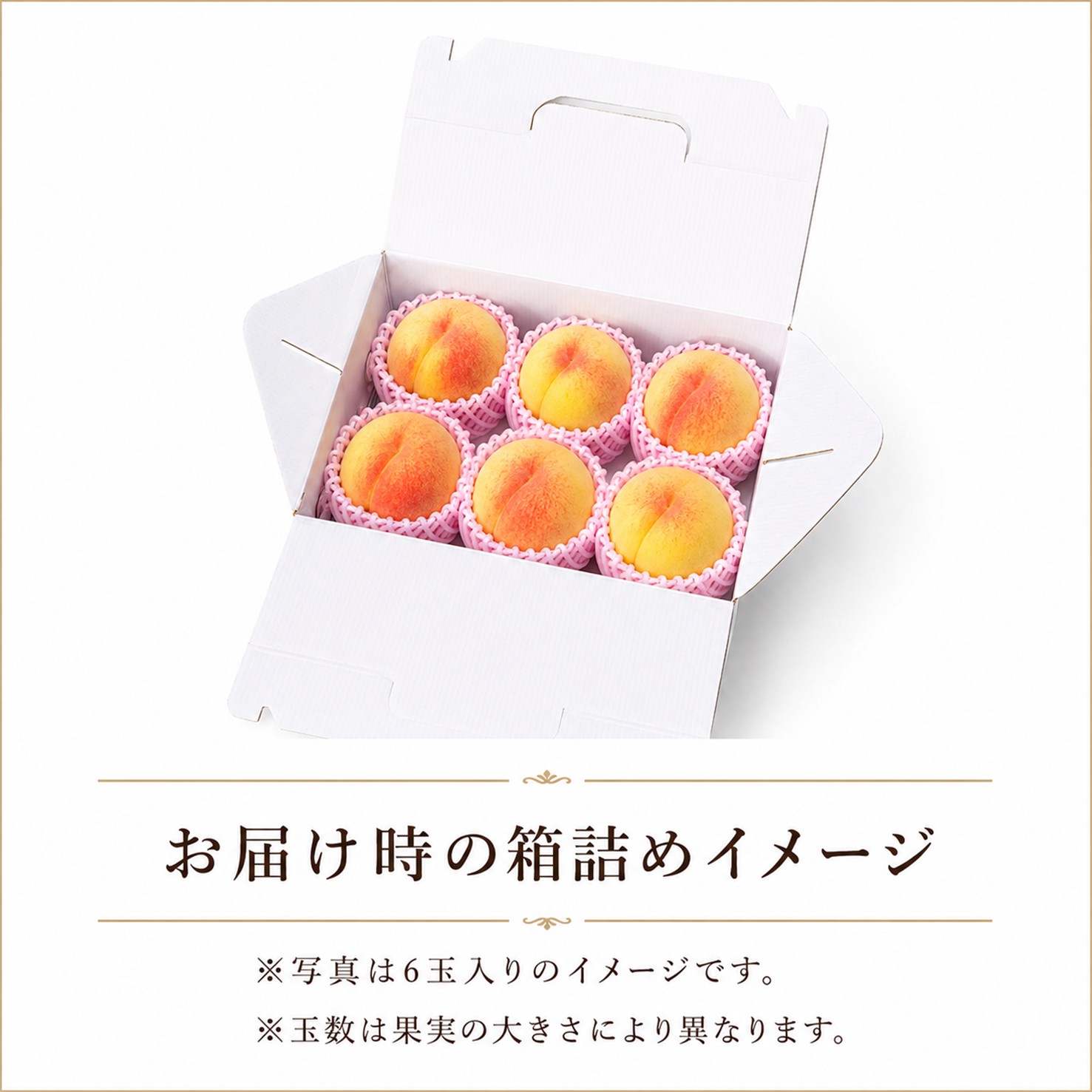 【送料込】光月 約1.7㎏ （5～6玉前後）箱【MK-01】