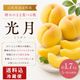【送料込】光月 約1.7㎏ （5～6玉前後）箱【MK-01】