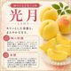 【送料込】光月 約1.7㎏ （5～6玉前後）箱【MK-01】
