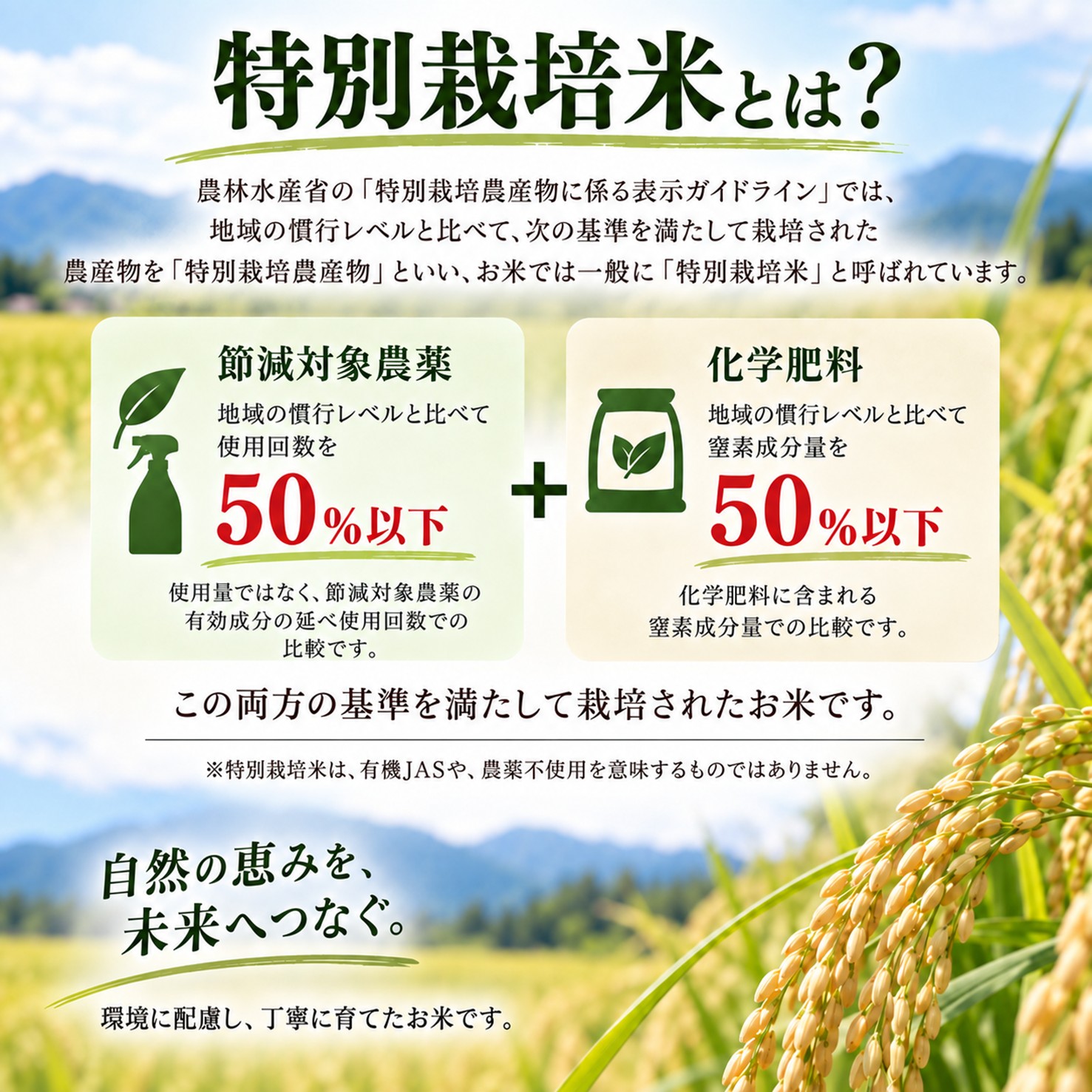 令和8年度産山形県鶴岡産 特別栽培米雪若丸2㎏(精米)〈山形県鶴岡市〉