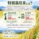 令和8年度産山形県鶴岡産 特別栽培米雪若丸2㎏(精米)〈山形県鶴岡市〉