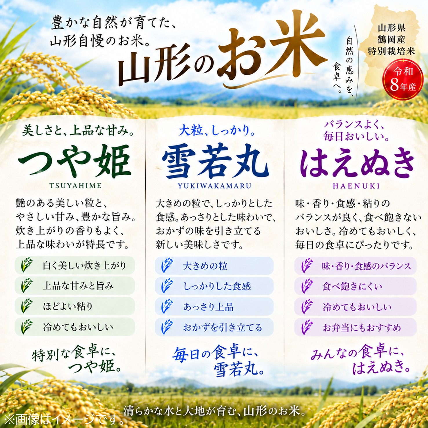 令和8年度産山形県鶴岡産 特別栽培米雪若丸5㎏(精米)〈山形県鶴岡市〉