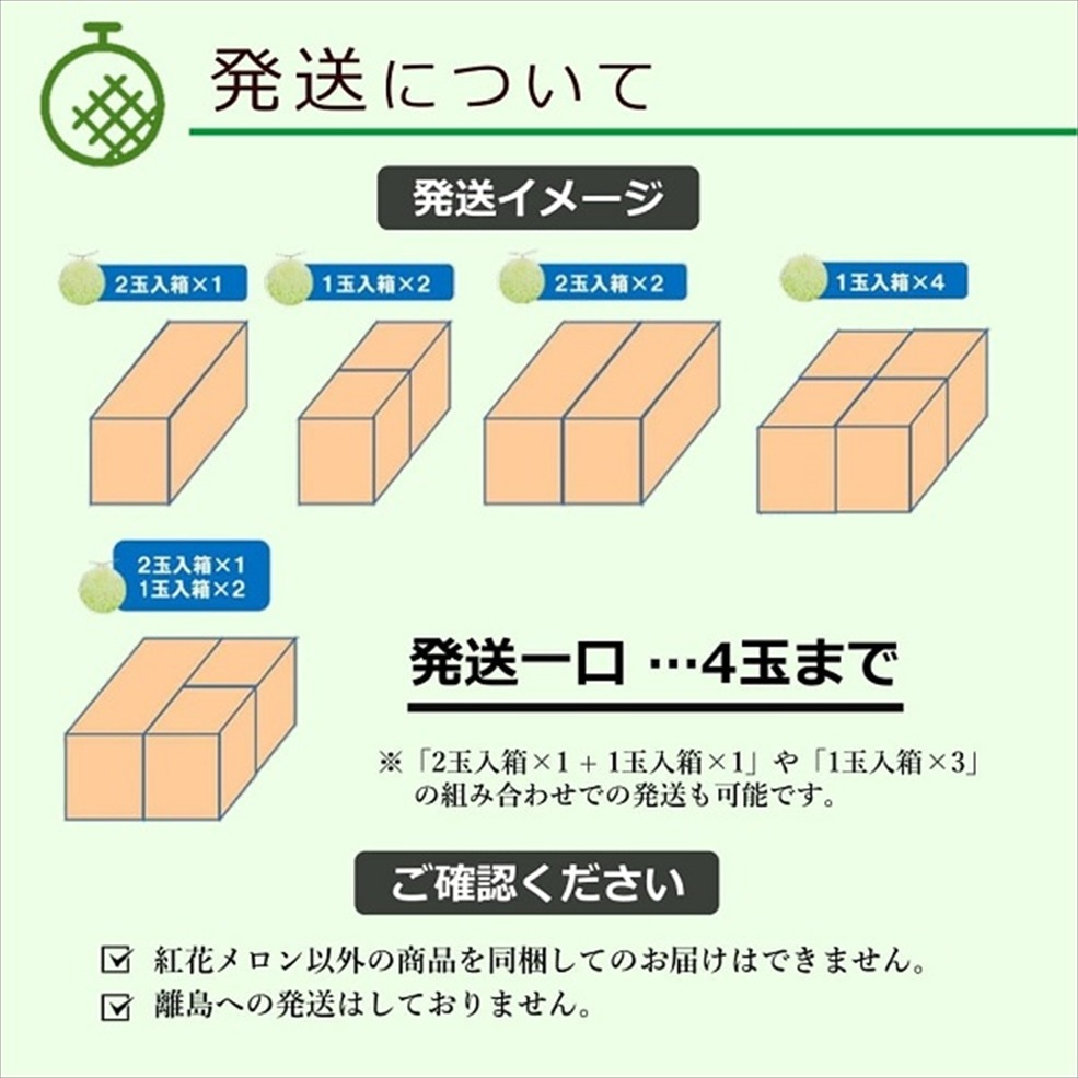 庄内砂丘メロン「アンデスメロン」 4Lサイズ 1玉入箱（青肉・つる付 