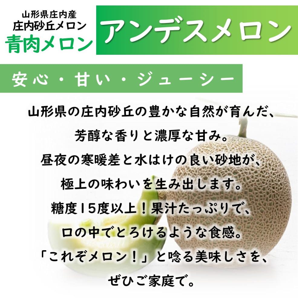 庄内砂丘メロン「アンデスメロン」 4Lサイズ 2玉入箱（青肉・つる付