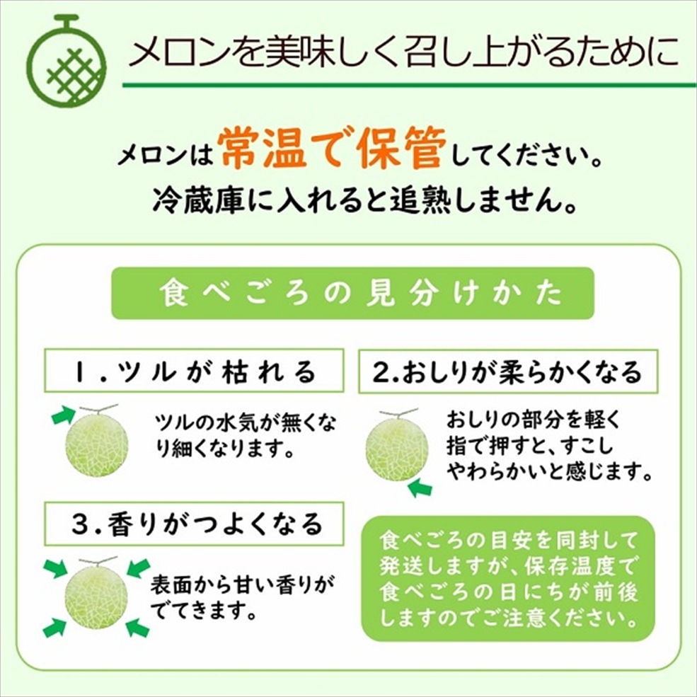 庄内砂丘メロン「アンデスメロン」 4Lサイズ 2玉入箱（青肉・つる付