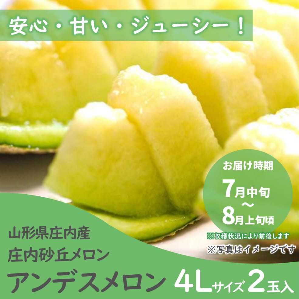 庄内砂丘メロン「アンデスメロン」 4Lサイズ 2玉入箱（青肉・つる付