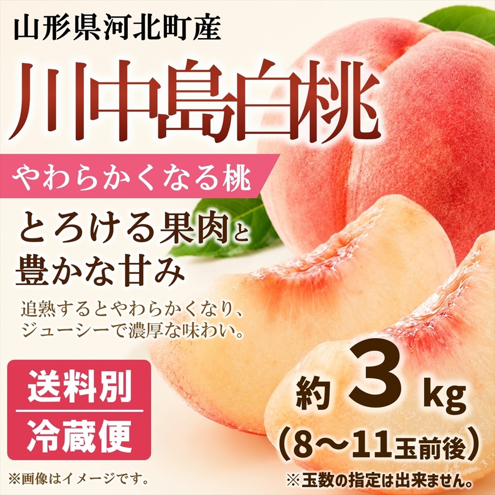 桃（川中島白桃） 約3kg箱（8～11玉入※前後します）【M-01】