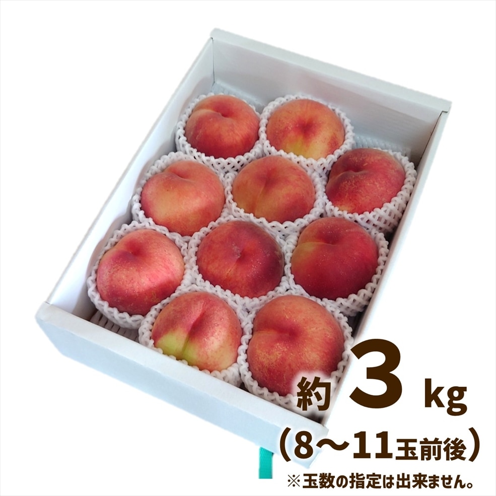 川中島白桃4kg箱 3箱セット 桃（川中島白桃） 約3kg箱（8～11玉入※前後します）【M-01】 | 果物