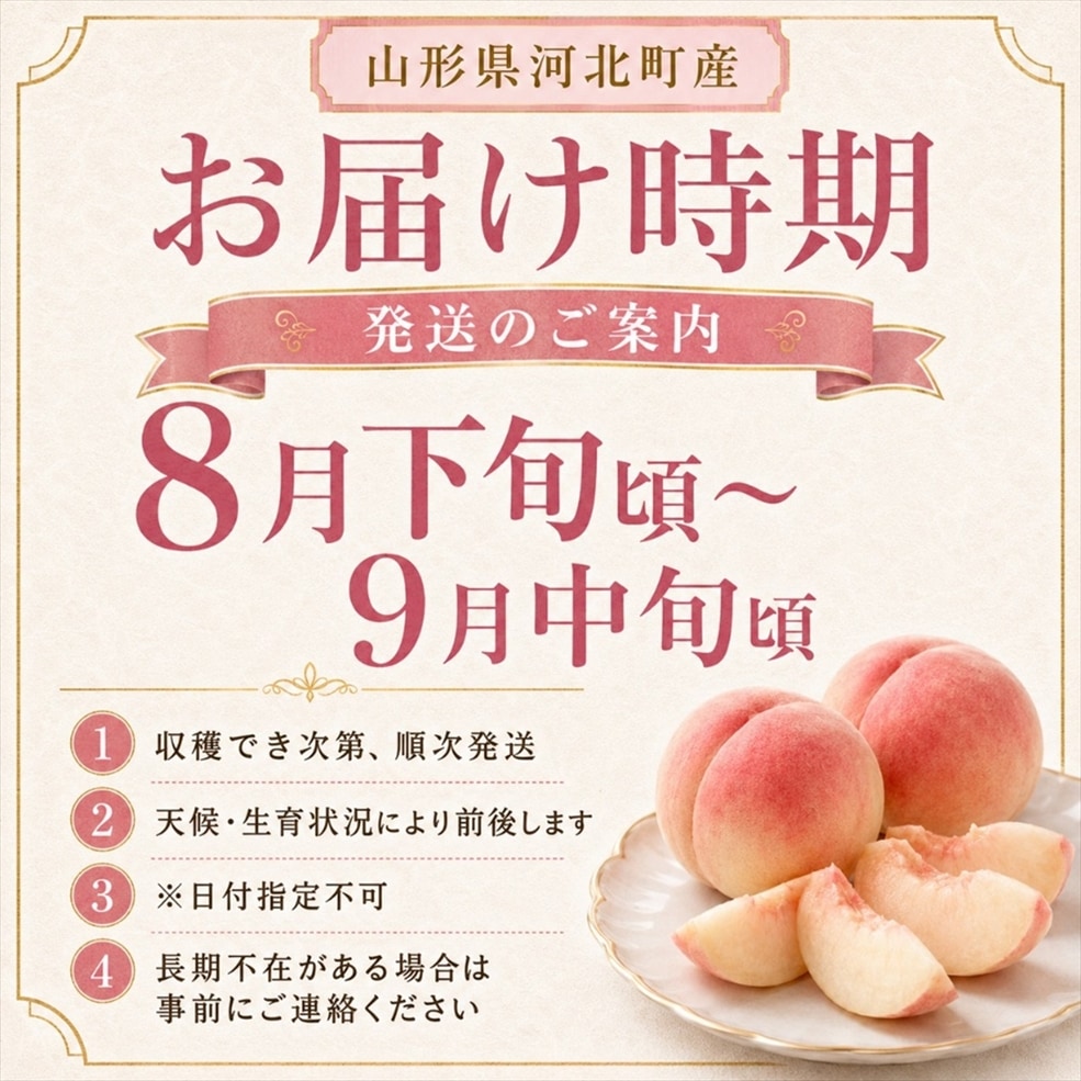 桃（川中島白桃） 約3kg箱（8～11玉入※前後します）【M-01】