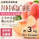 桃（川中島白桃） 約3kg箱（8～11玉入※前後します）【M-01】