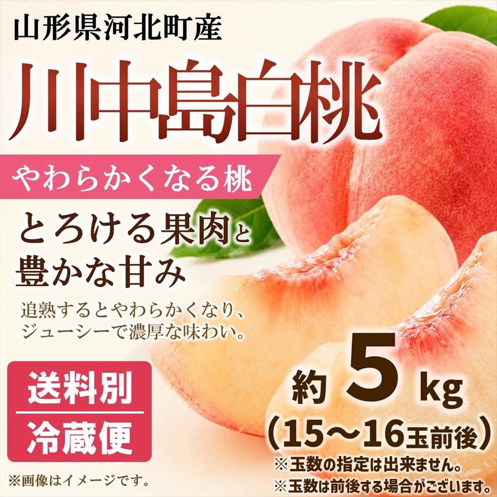 桃（川中島白桃） 約5kg箱（15～16玉入※前後します）【M-02】