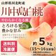 桃（川中島白桃） 約5kg箱（15～16玉入※前後します）【M-02】