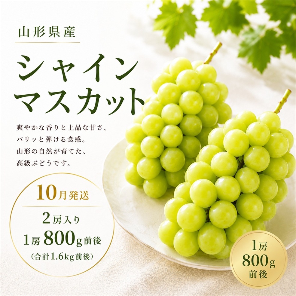 シャインマスカット大粒（１房800g前後 × ２房）箱（10月上旬～下旬頃お届け）【G-02】