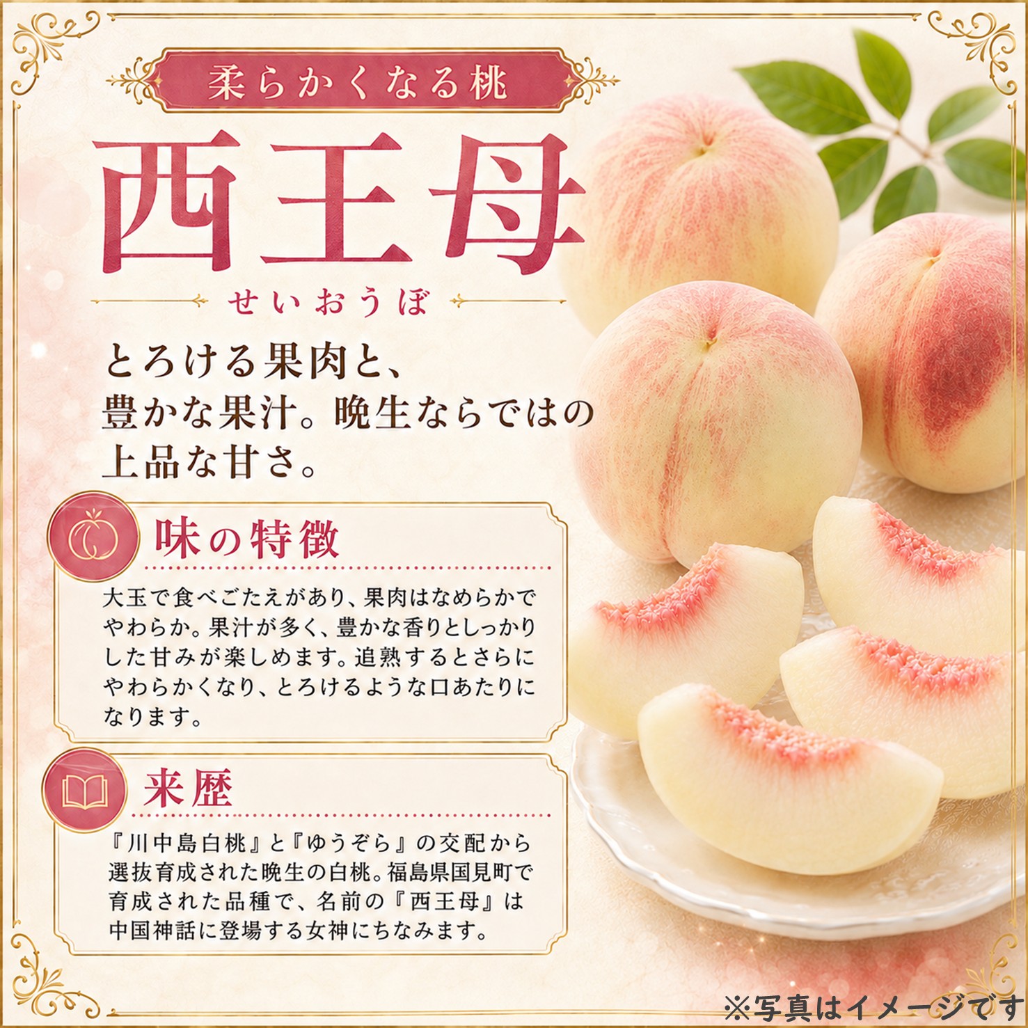 【送料込】西王母 約1.8㎏ （4～5玉前後）箱【MS-01】
