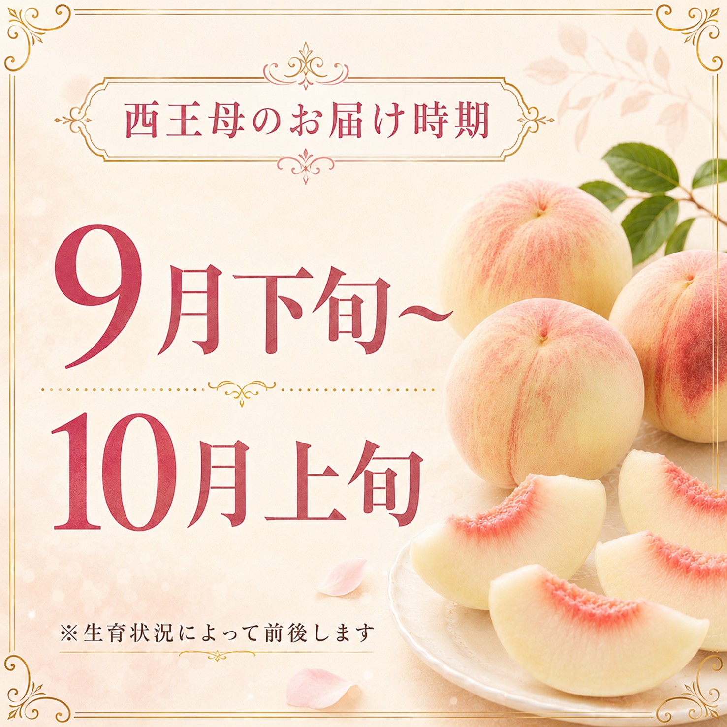 【送料込】西王母 約1.8㎏ （4～5玉前後）箱【MS-01】