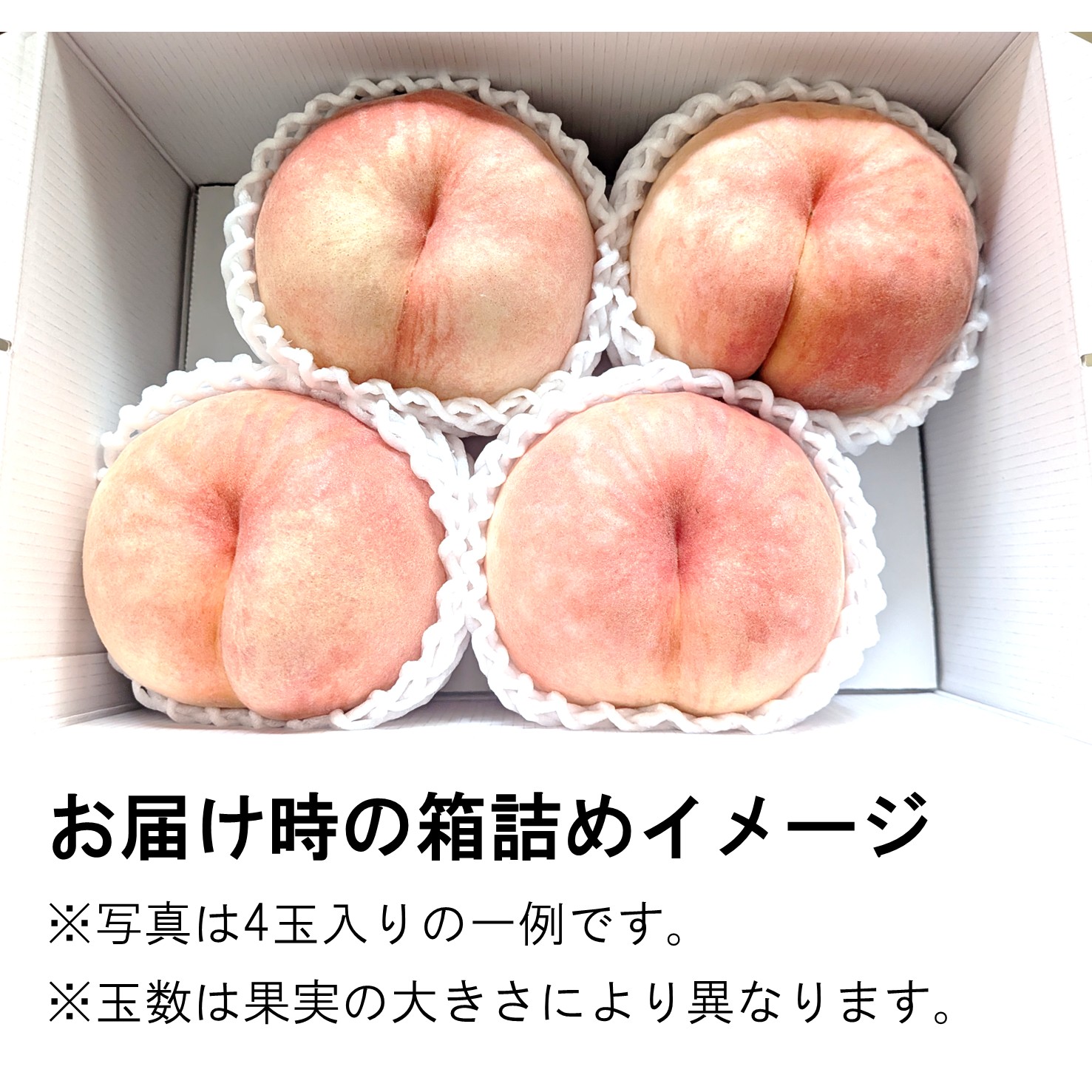 【送料込】西王母 約1.8㎏ （4～5玉前後）箱【MS-01】