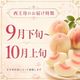 【送料込】西王母 約1.8㎏ （4～5玉前後）箱【MS-01】