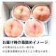 【送料込】西王母 約1.8㎏ （4～5玉前後）箱【MS-01】