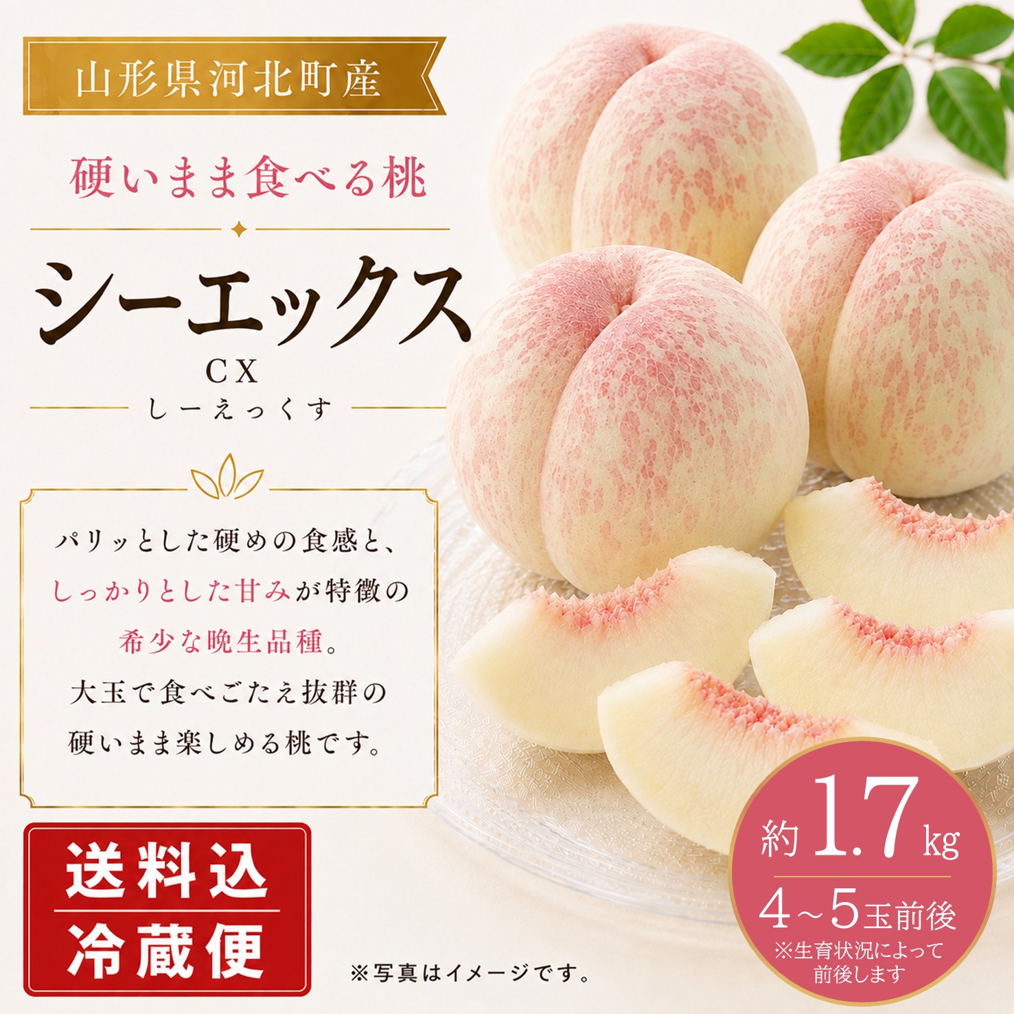 【送料込】桃 シーエックス 約1.7㎏ （4～5玉前後）箱【MC-01】