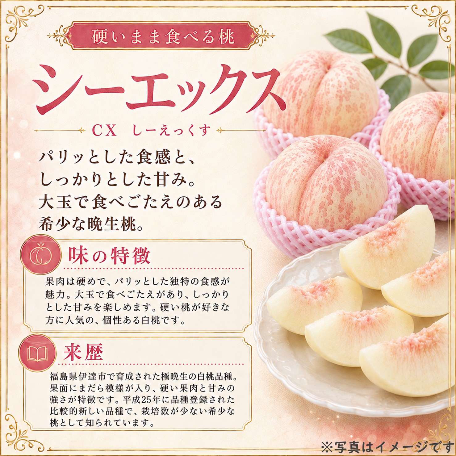 【送料込】桃 シーエックス 約1.7㎏ （4～5玉前後）箱【MC-01】