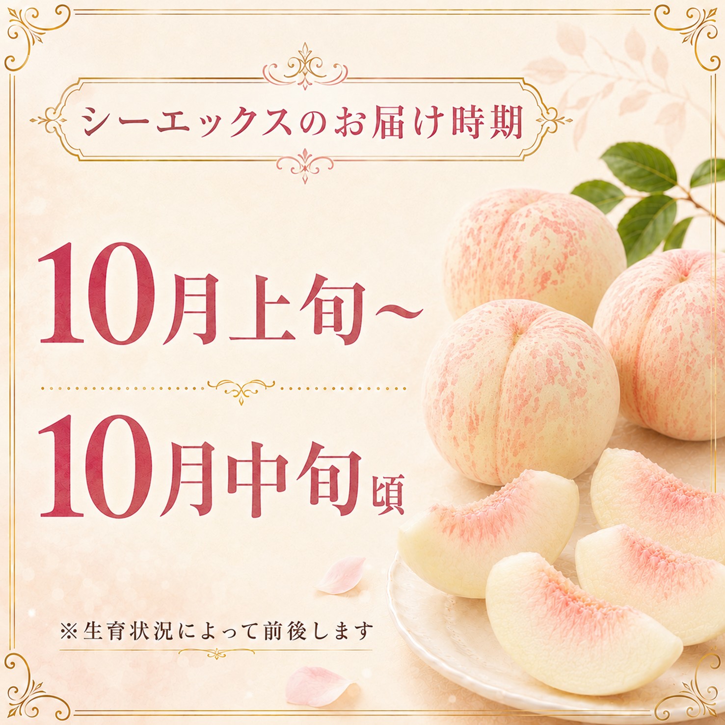 【送料込】桃 シーエックス 約1.7㎏ （4～5玉前後）箱【MC-01】