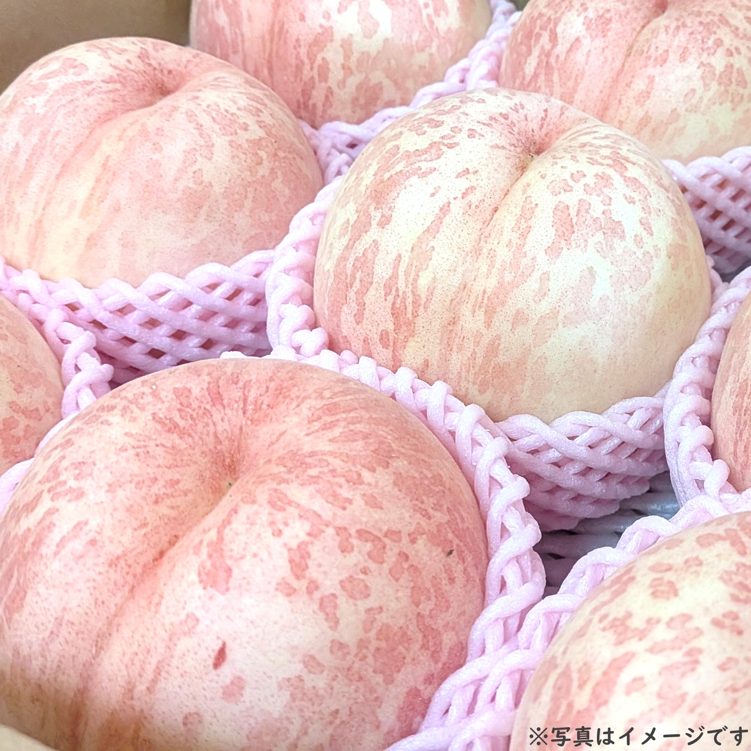 【送料込】桃 シーエックス 約1.7㎏ （4～5玉前後）箱【MC-01】
