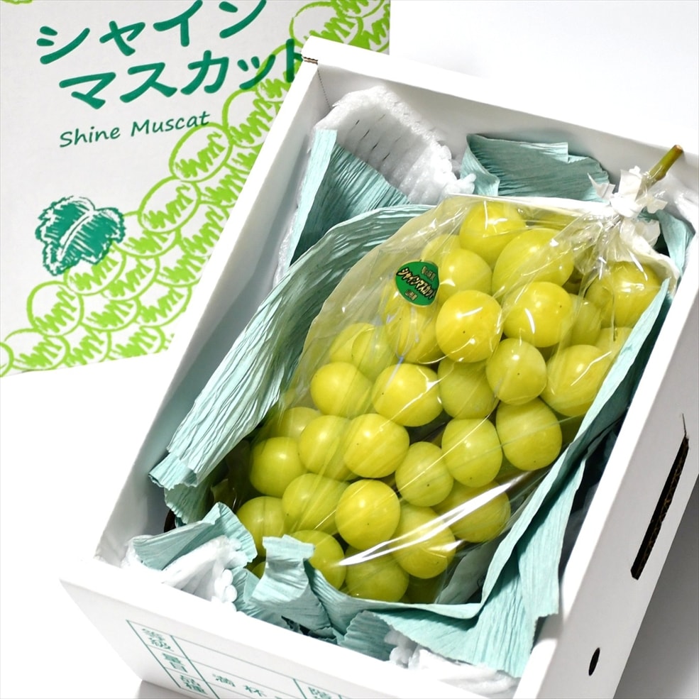 シャインマスカット大粒 1房（800g前後）入箱（10月上旬～下旬頃お届け）【G-01】